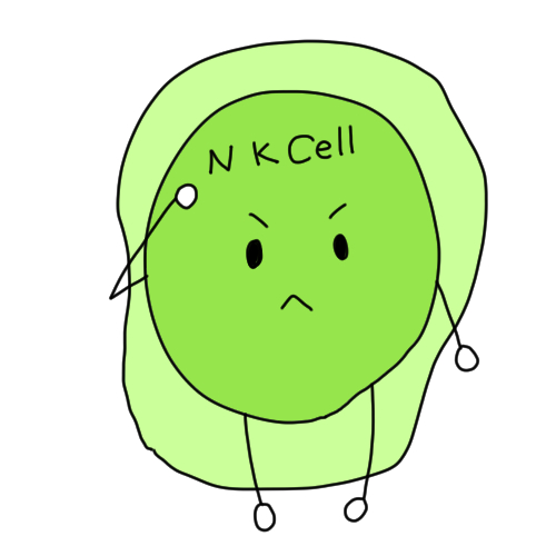 NK細胞